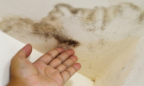 xu-ly-nhu-the-nao-khi-nha-tap-the-ngam-nuoc-do-tang-tren-sua